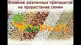 Замачивание и проращивание семян в различных препаратах. Сравнение.
