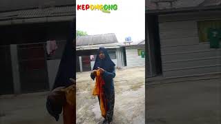 haus bestie #shortvideo #shortvideo #short #youtubeshorts #canda #ngakak