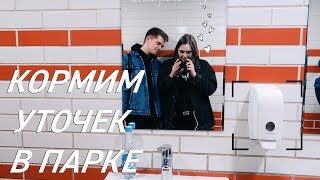 КОРМИМ УТОК В ПАРКЕ (но они не едят)