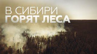 Тушение лесных пожаров в Якутии и Красноярском крае — видео
