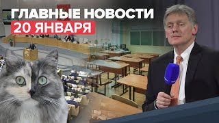 Новости дня — 20 января: угрозы «минирования» в российских школах, идея обязательного учёта питомцев