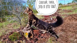 Поход в лес за калиной и полуторарогим другом. Забрала череп с рогами домой