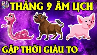 GIỚI TIÊN TRI CHẤN ĐỘNG, 3 CON GIÁP ĐANG KHỔ VÌ DỊCH, BẤT NGỜ GẶP THỜI GIÀU TO, VÀO T9 ÂM LỊCH