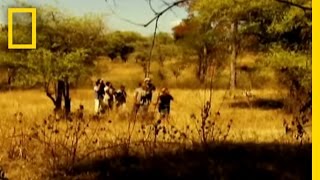 Man-Eating Dragon? | National Geographic