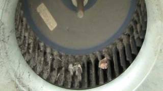 DIRTY BLOWER MOTOR