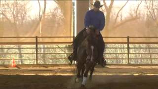 FRANCESCO MARTINOTTI RAMBO BO SUN - 23QH 2014 - SCORE 74,5