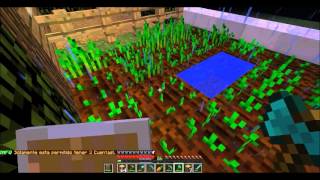 Server Bcraft [Review 2016!!]