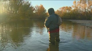 Idaho Fish and Game suspend steelhead season after threatened lawsuit