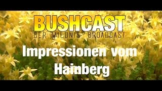 Impressionen vom Hainberg