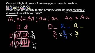 How to find phenotipic probobability in trihybrid cross
