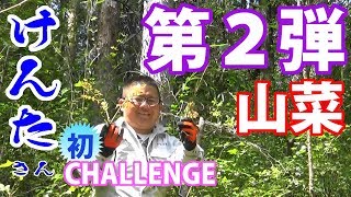 【富士周辺】山菜狩り