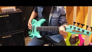Von Citizen - Iris (Bass Playthrough)｜Aristides 050｜Darkglass Microtubes 900