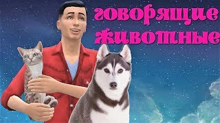 Симс 4: Говорящие животные. Мод управление питомцами в симс 4.