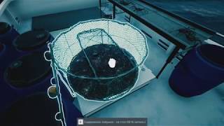Ловля рыбы в Баренцевом море №14