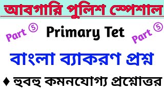 বাংলা ব্যাকরণ প্রশ্ন সেট 5 | আবগারি পুলিশ | Primary Tet |