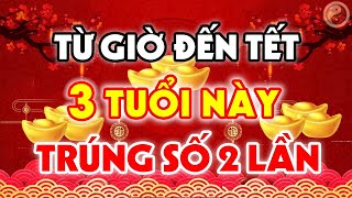 TỪ GIỜ ĐẾN TẾT 2022, 3 Con Giáp Này GIÀU CÓ Hết Phần Thiên Hạ, Vạn Sự Như Ý, Tiền Tỷ Cầm Tay