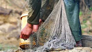 A Fisherman Use Net For Fishing today In Pond When Dry Water