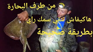 تنظيف وتقطيع سمكة الراي دونما تبدير اية قطعة من السمكة.