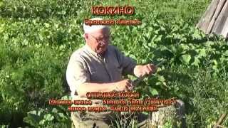 Кокино Брянская обл. Отбивка косы - Мастер-класс.  Автор видео - Юрий Шугаёв
