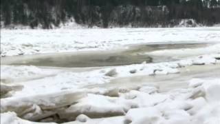 В Ярославской области пропали дети