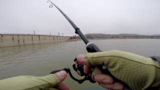 Embalse Mequinenza, ловля судака,окуня 07.12.2016.