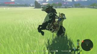 Cemu & E5450 ~ 3400MHz The Legend of Zelda: Breath of the Wild