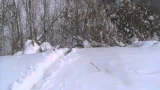 Тунгус-подснежная лодка