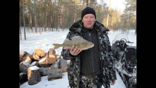 Рыбалка на озерах ХМАО. Трофейные окуни. Зачетные щуки.