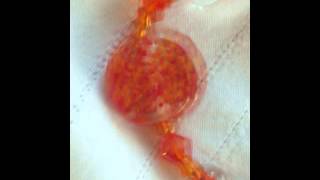 Orange Crush Barefoot Sandal Design by Blingadera