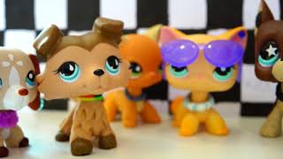 LPS Головоломка 1
