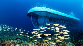 Oahu Atlantis Submarine Adventure