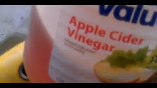 Gas Tank Rust Removal --- CIDER VINEGAR WORKS!