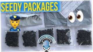 Man Planted Mystery Seeds Delivered From China (ft. BaconAndBiceps)