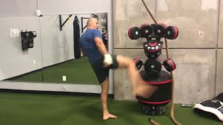 Нокаут телефона от Дос Сантоса / KO from Junior Dos Santos
