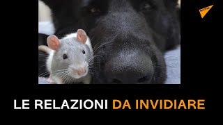 Le relazioni da invidiare