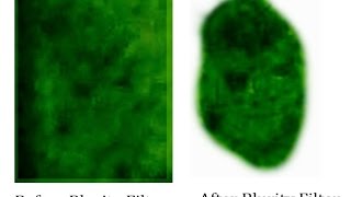 Back Yard Bigfoot - Captured with Night Vision Scope/Cam
