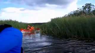 Сплав на каноэ, июль 2015г. оз.Сапшо-р.Сапша-оз.Петраковское.