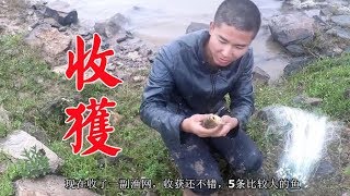 小鄧往水里放了2副漁網3個小時後來收，捕獲到7條大貨，滿載而歸【石頭記事】