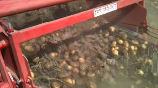 Demsan PS2 E PLUS TWO ROWS POTATO HARVESTER