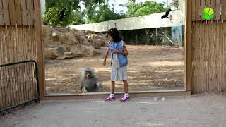 Зоопарк в Израиле
