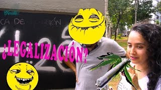 ¿Legalización de la Marihuana?/AmbienteCOOL