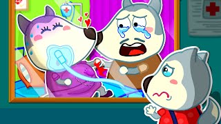Baby Wolf, Don't Be Sad! - Pregnant Mommy Wolf Got Sick @mommywolf