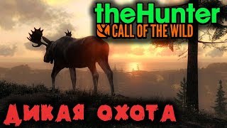 Дикая охота в Тайге - TheHunter Call of The Wild