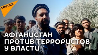 Афганское ополчение готовится отбить родину у талибов