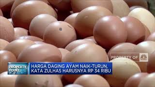 Mendag: Harga Telur Akan Turun September Mendatang