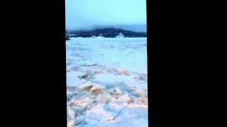 Traversier coincée dans la glace