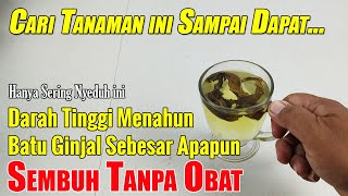 ALLAHU AKBAR... ALLAH TELAH UNGKAP TANAMAN PALING PENTING DALAM KEHIDUPAN MANUSIA