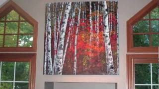 Jennifer Vranes Fine Art