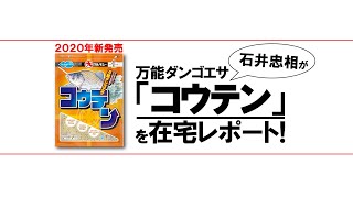 【アイテム紹介】「コウテン」発売しました！