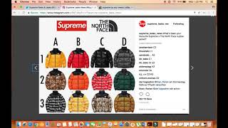 Supreme X The North Face Drop FW 17